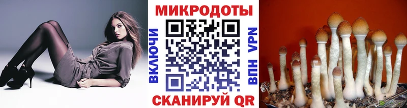 Галлюциногенные грибы прущие грибы  закладки  Юрга 