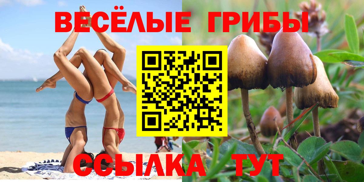Галлюциногенные грибы прущие грибы Юрга