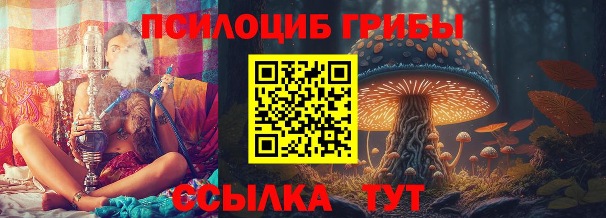 Юрга  Псилоцибиновые грибы Cubensis  Вход с VPN 